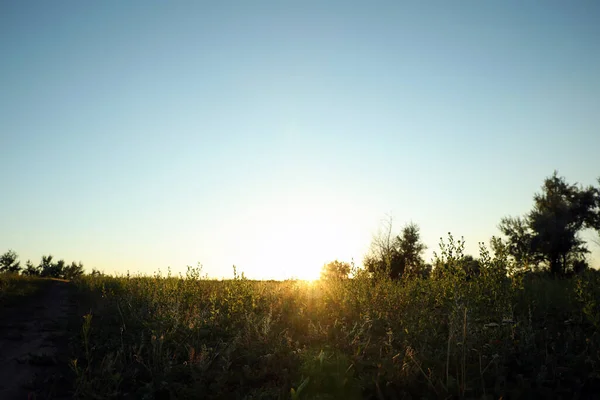 Vackert Fält Vid Soluppgången Tidig Morgon Landskap — Stockfoto