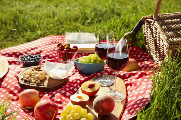 Yeşil Çimenlerin Üzerinde Lezzetli Yemek Şarap Bulunan Piknik Battaniyesi — Stok fotoğraf