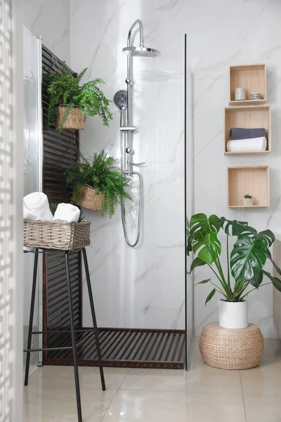 Bathroom Interior Shower Stall Houseplants Idea Design — Stock Photo, Image