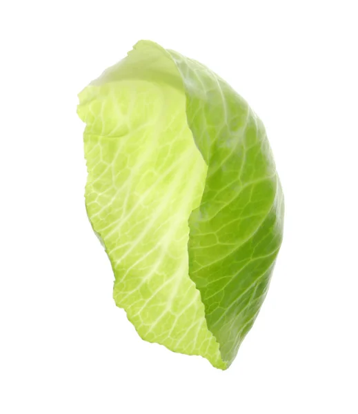 Leaf Fresh Ripe Cabbage Isolated White — Stock Photo, Image