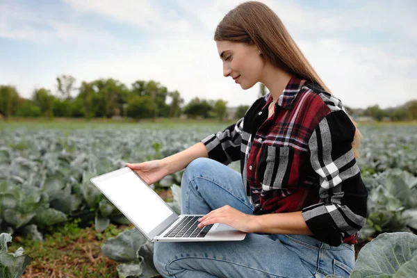 Mujer Usando Portátil Con Pantalla Blanco Campo Tecnología Agrícola — Foto de Stock
