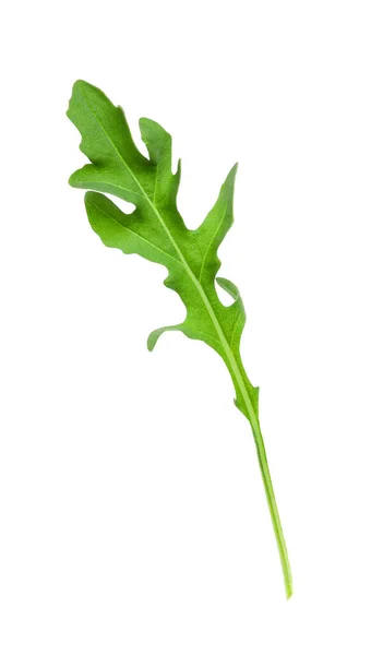 Folha Arugula Fresca Isolada Sobre Branco — Fotografia de Stock