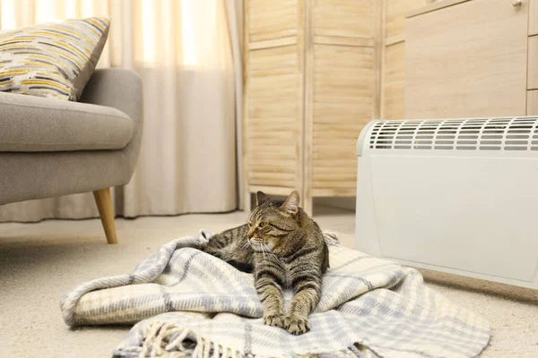 Roztomilý Tabby Kočka Blízkosti Elektrického Ohřívače Doma — Stock fotografie