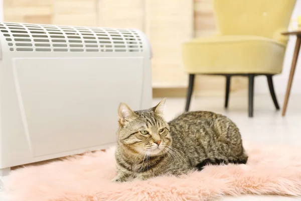 Χαριτωμένο Tabby Γάτα Κοντά Ηλεκτρικό Θερμαντήρα Στο Σπίτι — Φωτογραφία Αρχείου
