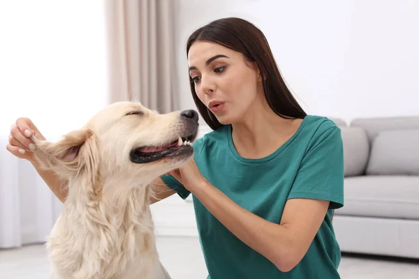 Mujer Feliz Con Lindo Perro Mascota Casa —  Fotos de Stock