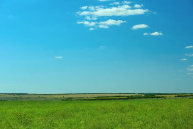 Güneşli bir günde yeşil çimenli güzel bir manzara