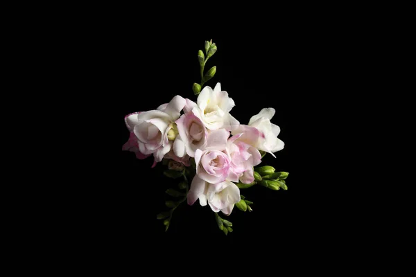 黒を背景に美しいフリージアの花の花束 トップビュー — ストック写真
