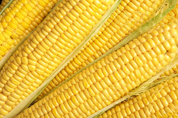 Tasty Sweet Corn Cobs Background Top View — Stock Photo, Image