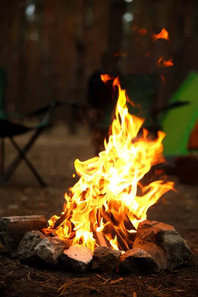 Beautiful Bonfire Burning Firewood Camping Tent Forest — Stock Photo, Image