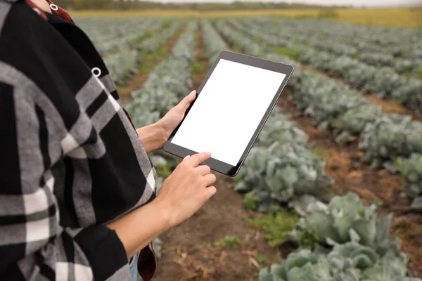 Vrouw Met Tablet Met Leeg Scherm Het Veld Close Landbouwtechnologie — Stockfoto