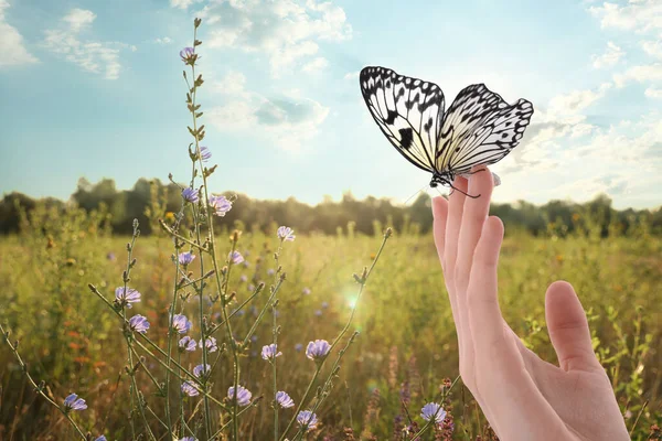 美しい米紙の蝶のフィールドで クローズアップを保持する女性 — ストック写真