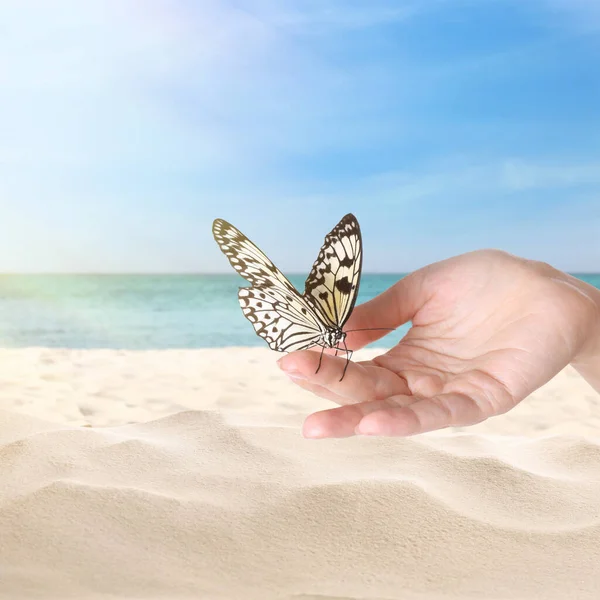 Woman Holding Beautiful Rice Paper Butterfly Sandy Beach Closeup — Stock Photo, Image