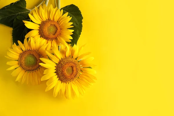 Belos Girassóis Brilhantes Fundo Amarelo Flat Lay Espaço Para Texto — Fotografia de Stock