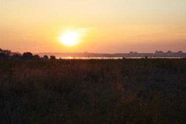 Güneşin doğuşundaki tarlanın güzel manzarası. Sabahın erken saatlerinde