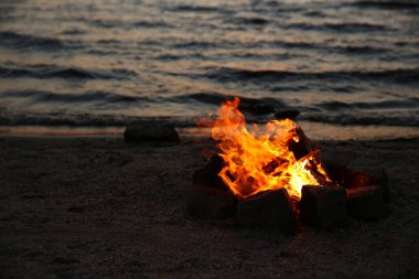 Akşamları yakacak odunları olan güzel şenlik ateşi.