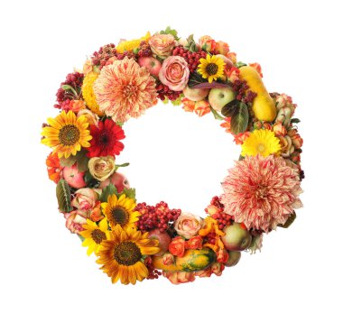 Güzel sonbahar çelengi, çiçekler, böğürtlenler ve meyveler beyaza izole edilmiş.