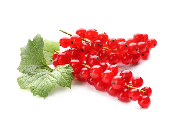 Deliciosas Groselhas Vermelhas Maduras Isoladas Branco — Fotografia de Stock