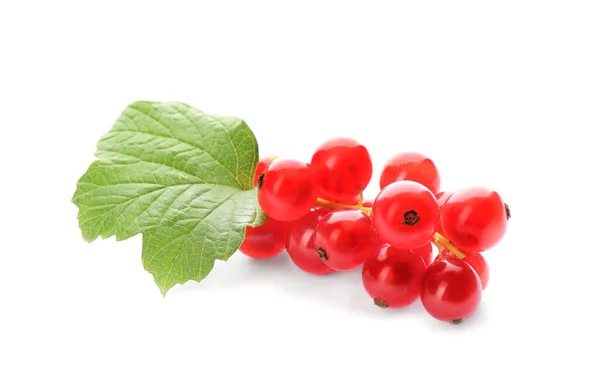 Deliciosas Groselhas Vermelhas Maduras Isoladas Branco — Fotografia de Stock