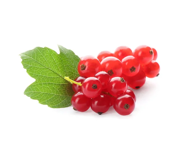 Delicious Ripe Red Currants Isolated White — Stock Photo, Image