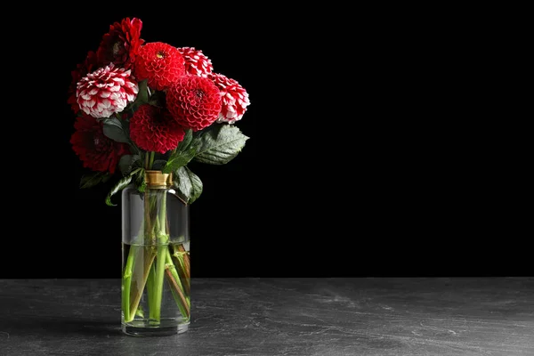 Beautiful Dahlia Flowers Vase Table Black Background Space Text — Stock Photo, Image