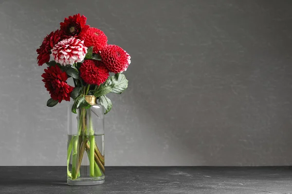 Schöne Dahlienblüten Der Vase Auf Dem Tisch Vor Grauem Hintergrund — Stockfoto