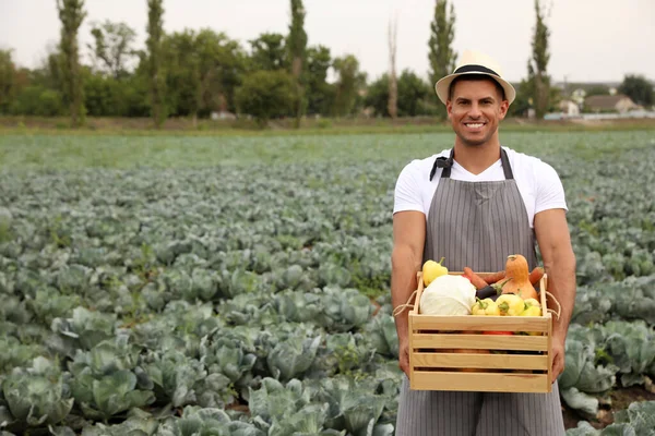 Tarlada Farklı Sebzelerle Dolu Tahta Sandıklı Bir Çiftçi Hasat Zamanı — Stok fotoğraf