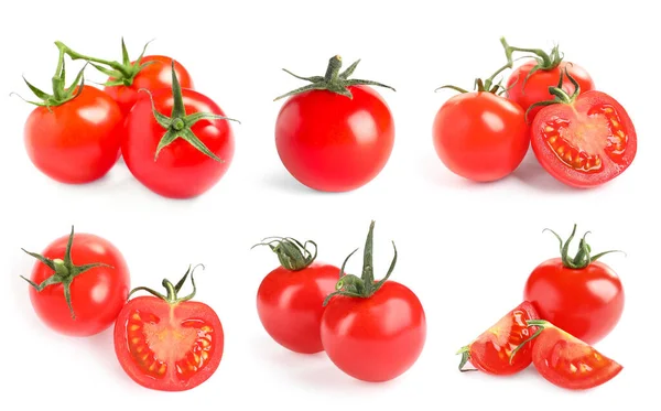 Conjunto Tomates Rojos Maduros Sobre Fondo Blanco — Foto de Stock