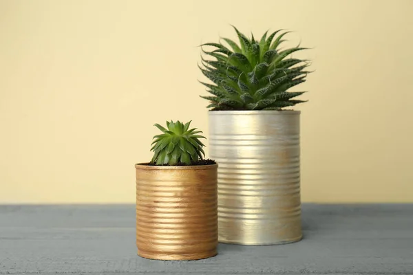 Belles Plantes Intérieur Boîtes Conserve Sur Table Bois Gris — Photo