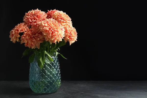 Hermosas Flores Dalia Coral Jarrón Sobre Mesa Sobre Fondo Negro — Foto de Stock