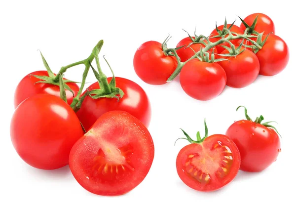 Conjunto Tomates Vermelhos Maduros Sobre Fundo Branco — Fotografia de Stock