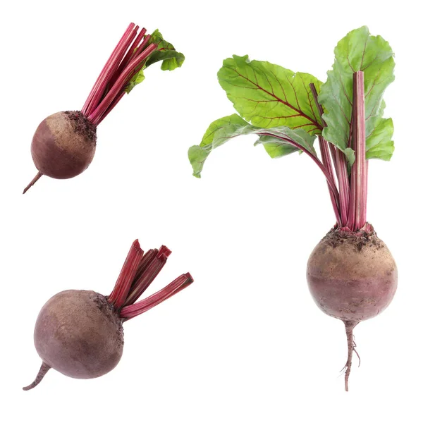 Set Fresh Beets White Background — Stock Photo, Image