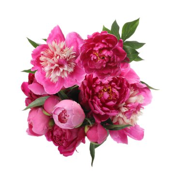 Beyaz arka planda güzel şakayık çiçeği buketi