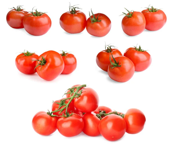 Set Reifer Roter Tomaten Auf Weißem Hintergrund — Stockfoto