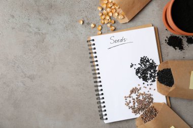 Vegetable seeds and notebook on grey table, flat lay. Space for text clipart