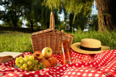 Parkta lezzetli yiyecek ve şarapla piknik battaniyesi