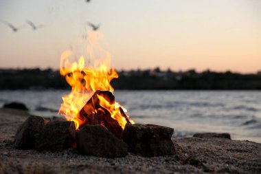 Akşamları yakacak odunları olan güzel şenlik ateşi.