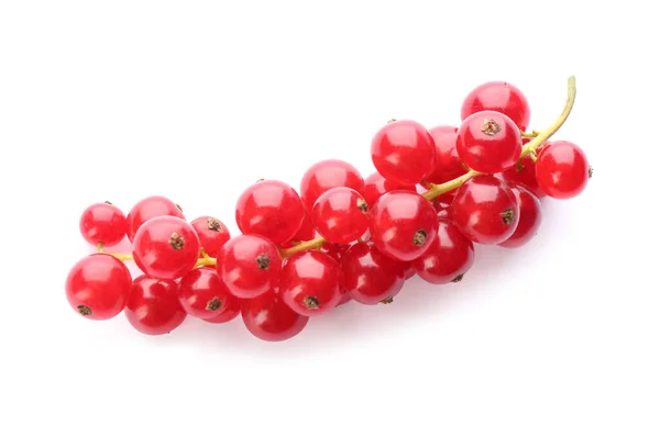 Delicious Ripe Red Currants Isolated White — Stock Photo, Image