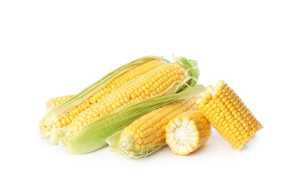 Ripe Raw Corn Cobs White Background — Stock Photo, Image