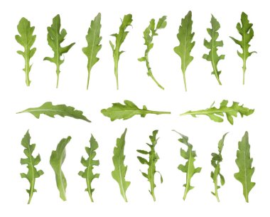 Beyaz arkaplanda yeşil roka yaprakları 