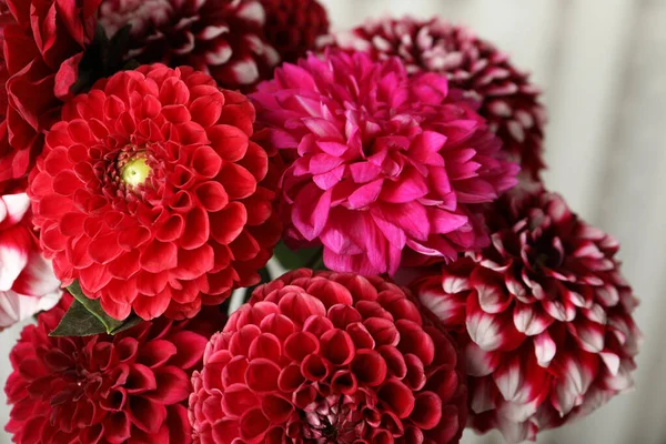 Bulanık Arkaplanda Güzel Yıldız Çiçekleri Yakın Plan — Stok fotoğraf
