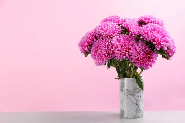 Hermosos Astros Jarrón Sobre Mesa Sobre Fondo Rosa Espacio Para — Foto de Stock