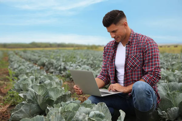 Hombre Usando Portátil Campo Tecnología Agrícola — Foto de Stock