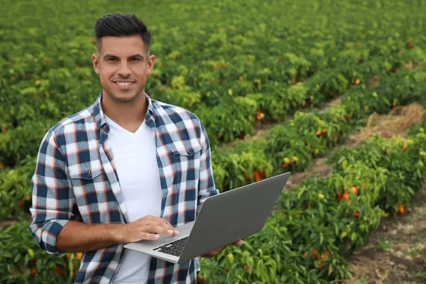 Man Met Laptop Het Veld Landbouwtechnologie — Stockfoto