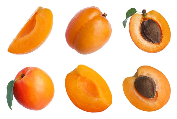 Set Cut Whole Fresh Apricots White Background — Stock Photo, Image