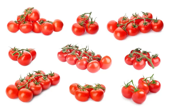 Conjunto Tomates Vermelhos Maduros Sobre Fundo Branco — Fotografia de Stock