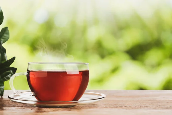 玻璃杯新鲜的热茶放在木制桌子上 绿色背景模糊 案文的篇幅 — 图库照片