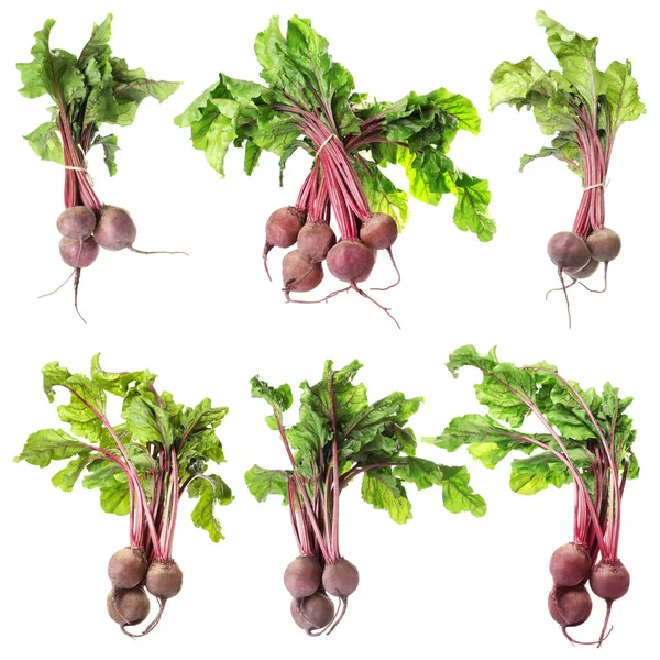 Set Fresh Beets White Background — Stock Photo, Image