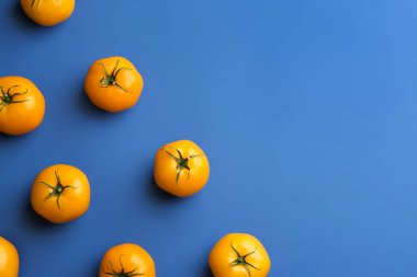 Mavi arka planda sarı domatesler, düz uzanmış. Metin için boşluk