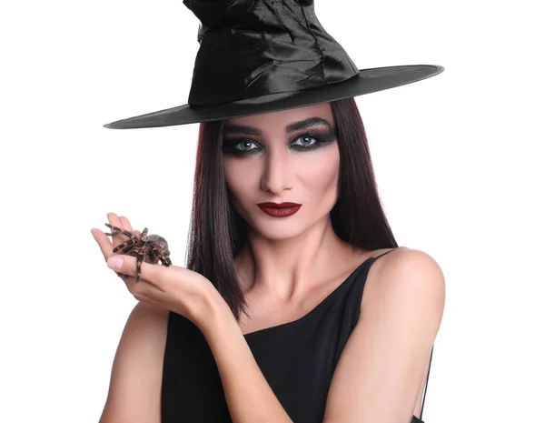 Bruxa Misteriosa Chapéu Com Aranha Fundo Branco — Fotografia de Stock