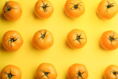 Renkli arka planda sarı domatesler, düz uzanmış